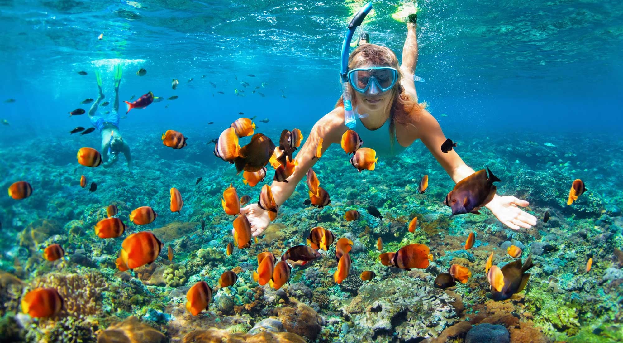 Snorkeling and Scuba Diving