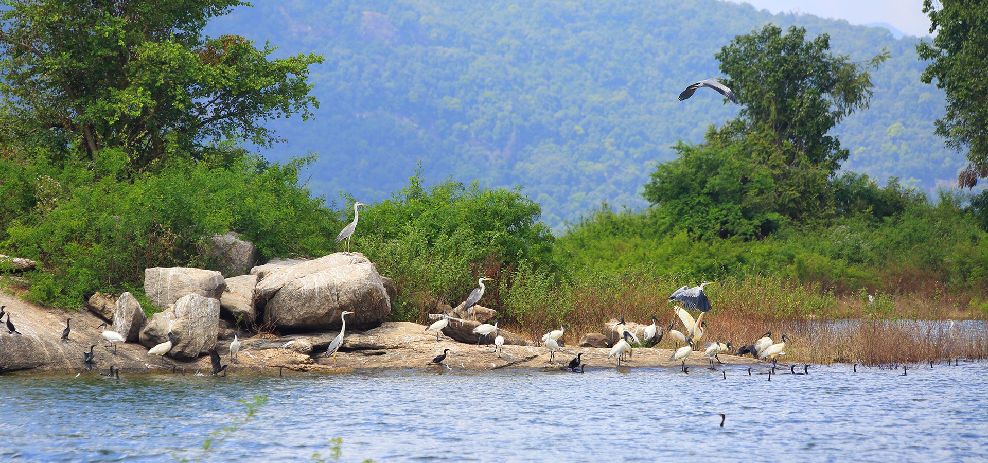 Gal Oya National Park